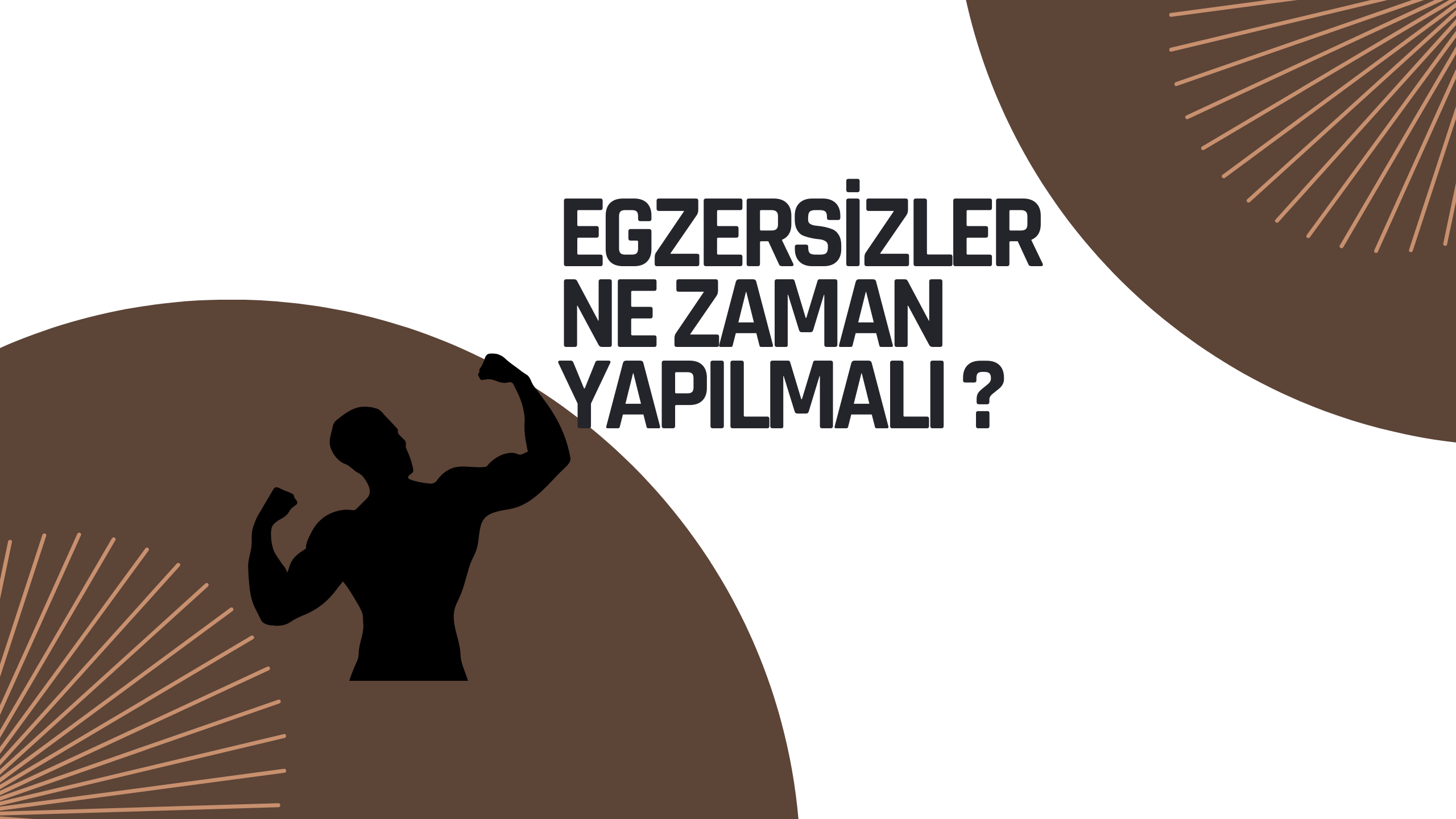 egzersizler