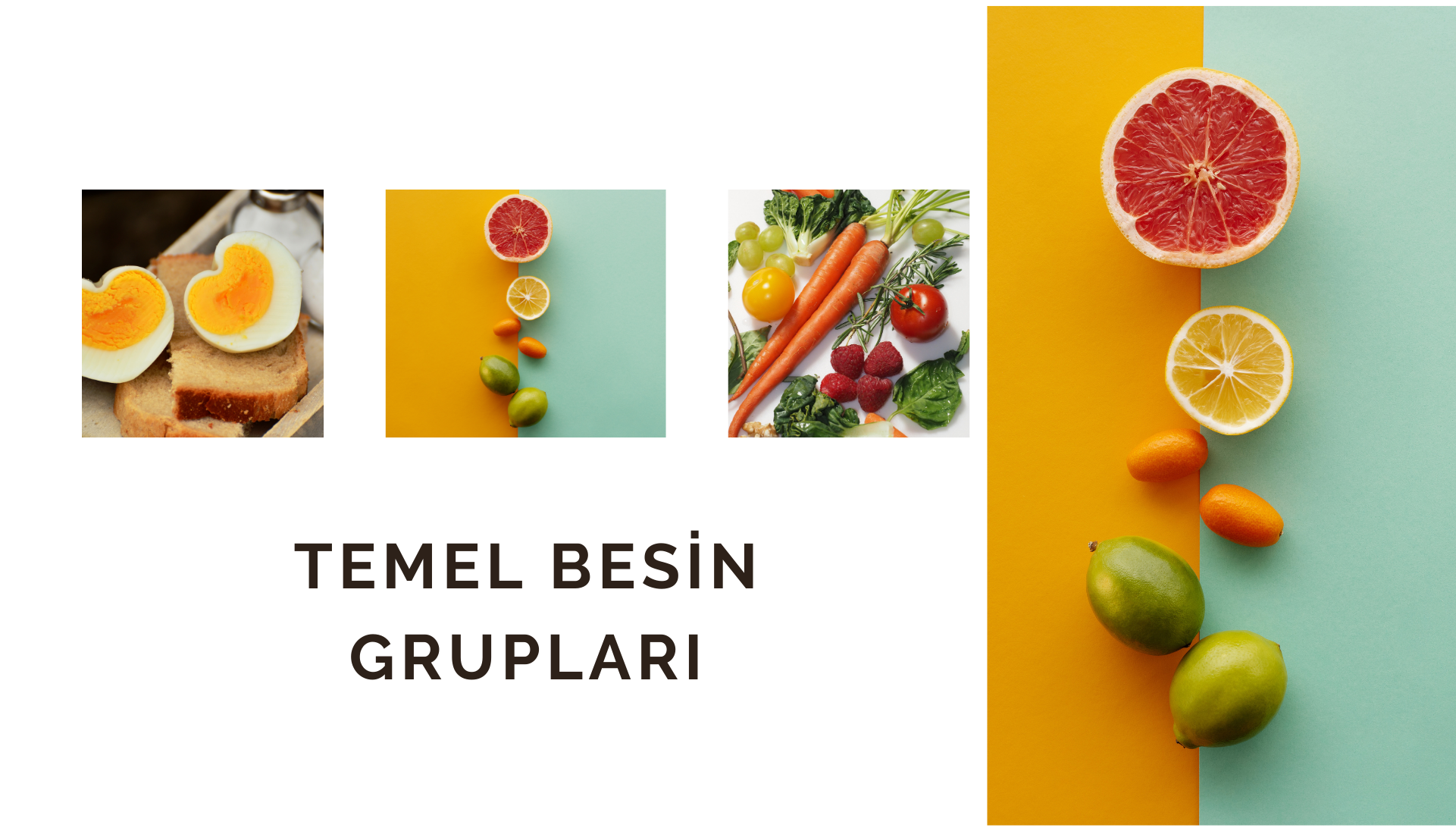 Temel Besin Grupları